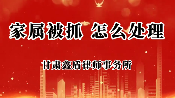 家属被抓  怎么处理